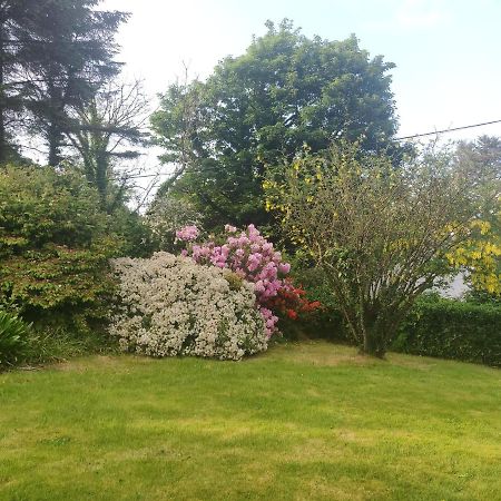 Leenan View Country House Guest House Portsalon Bagian luar foto