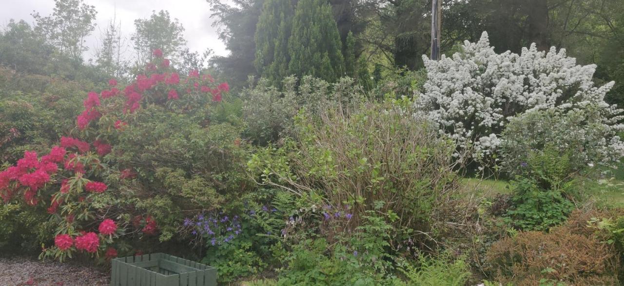 Leenan View Country House Guest House Portsalon Bagian luar foto