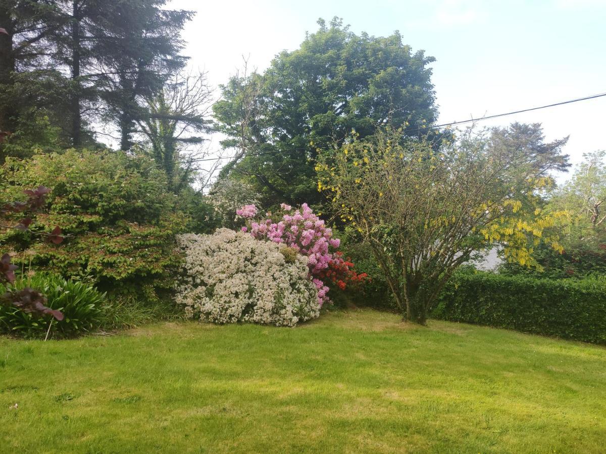 Leenan View Country House Guest House Portsalon Bagian luar foto