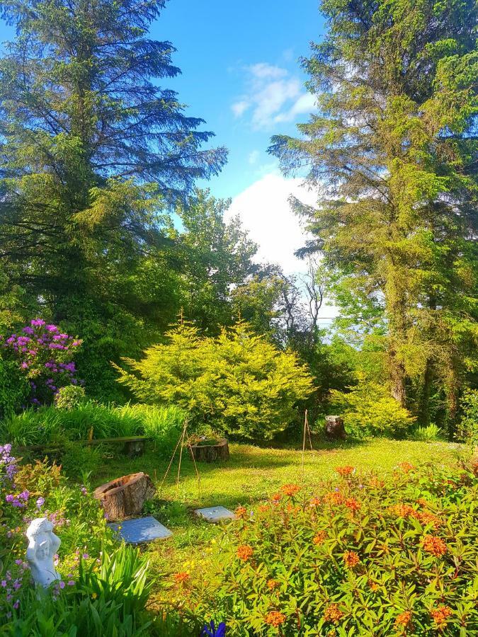 Leenan View Country House Guest House Portsalon Bagian luar foto